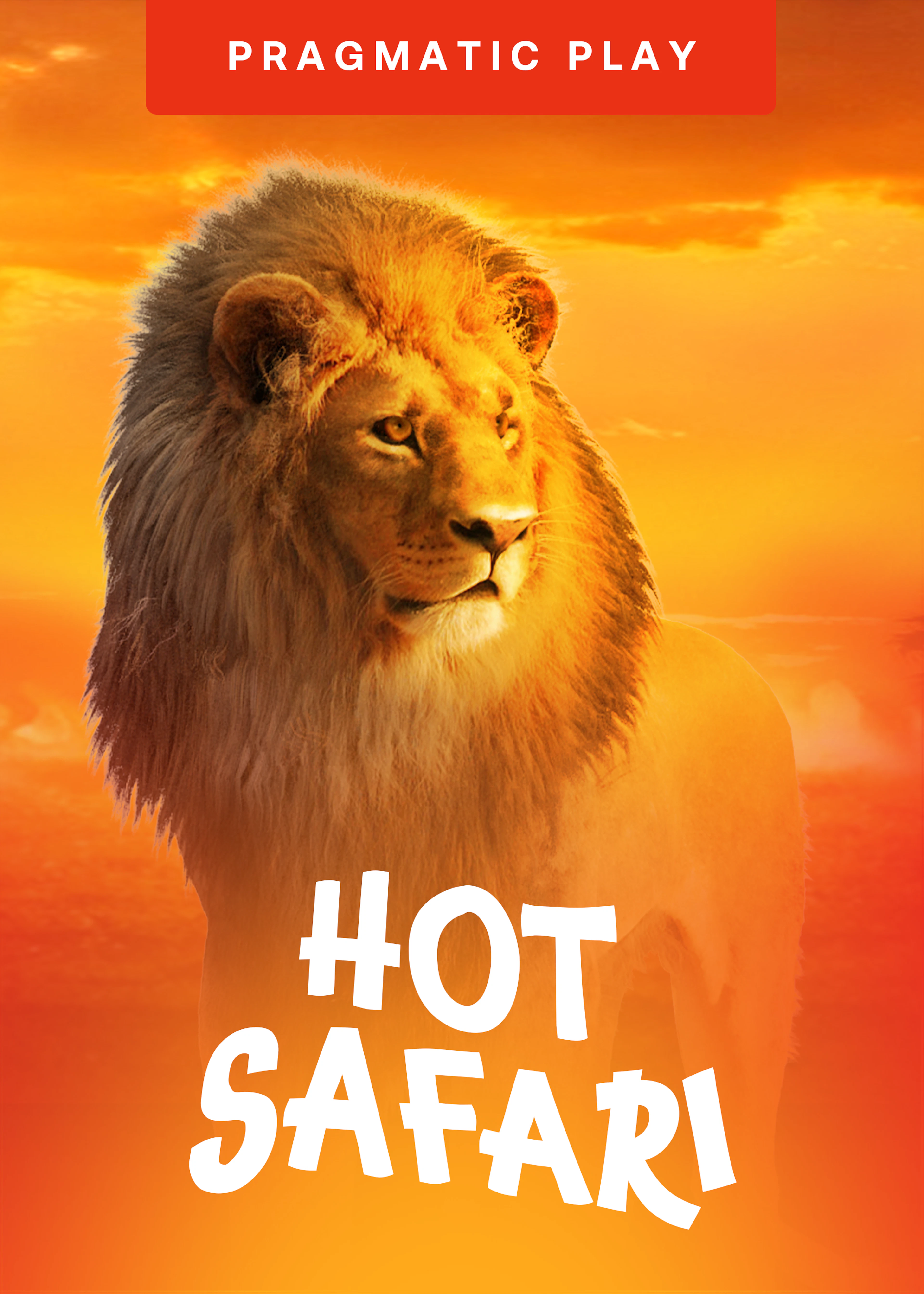 Hot Safari