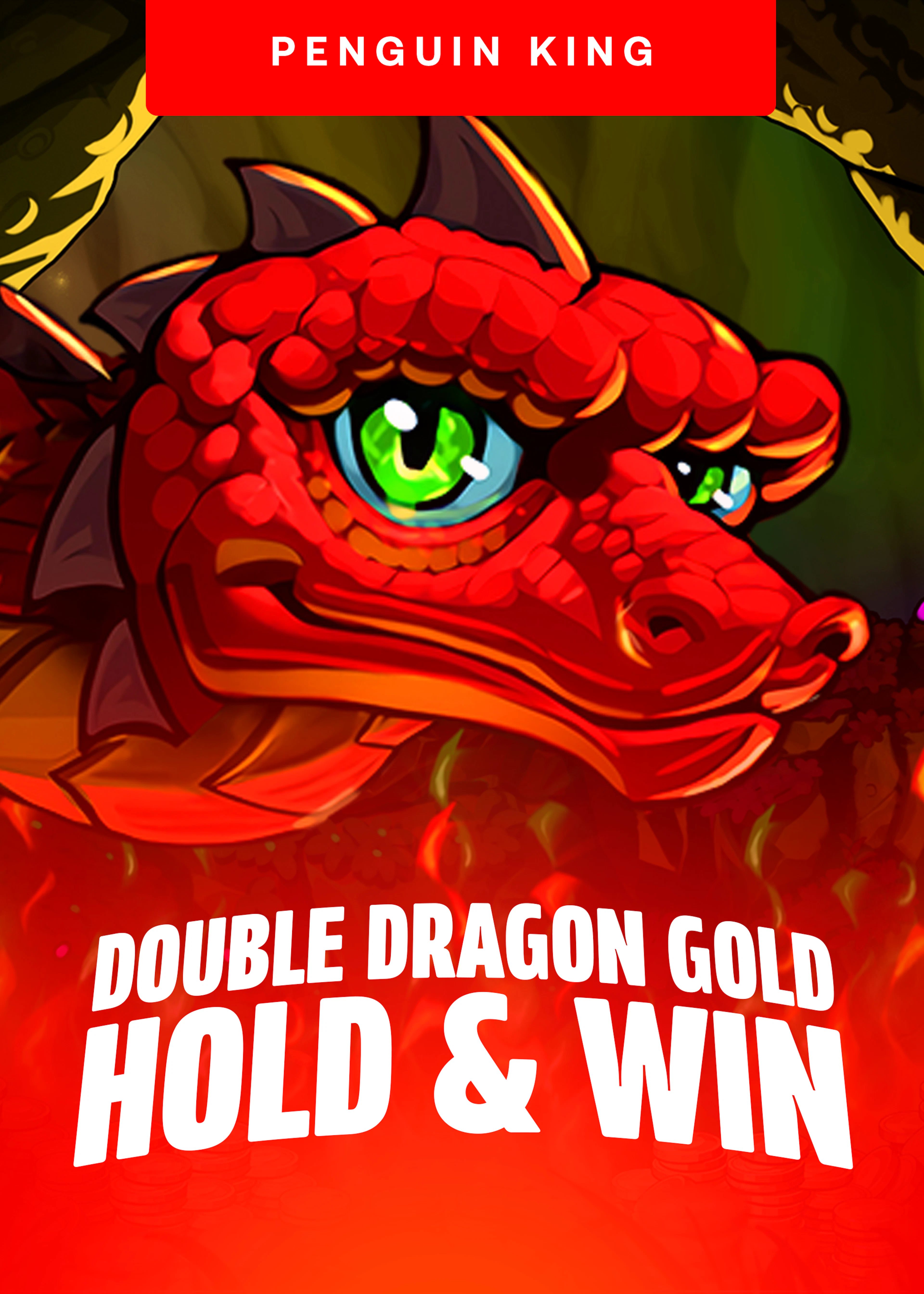 Double Dragon Gold: Hold and Win