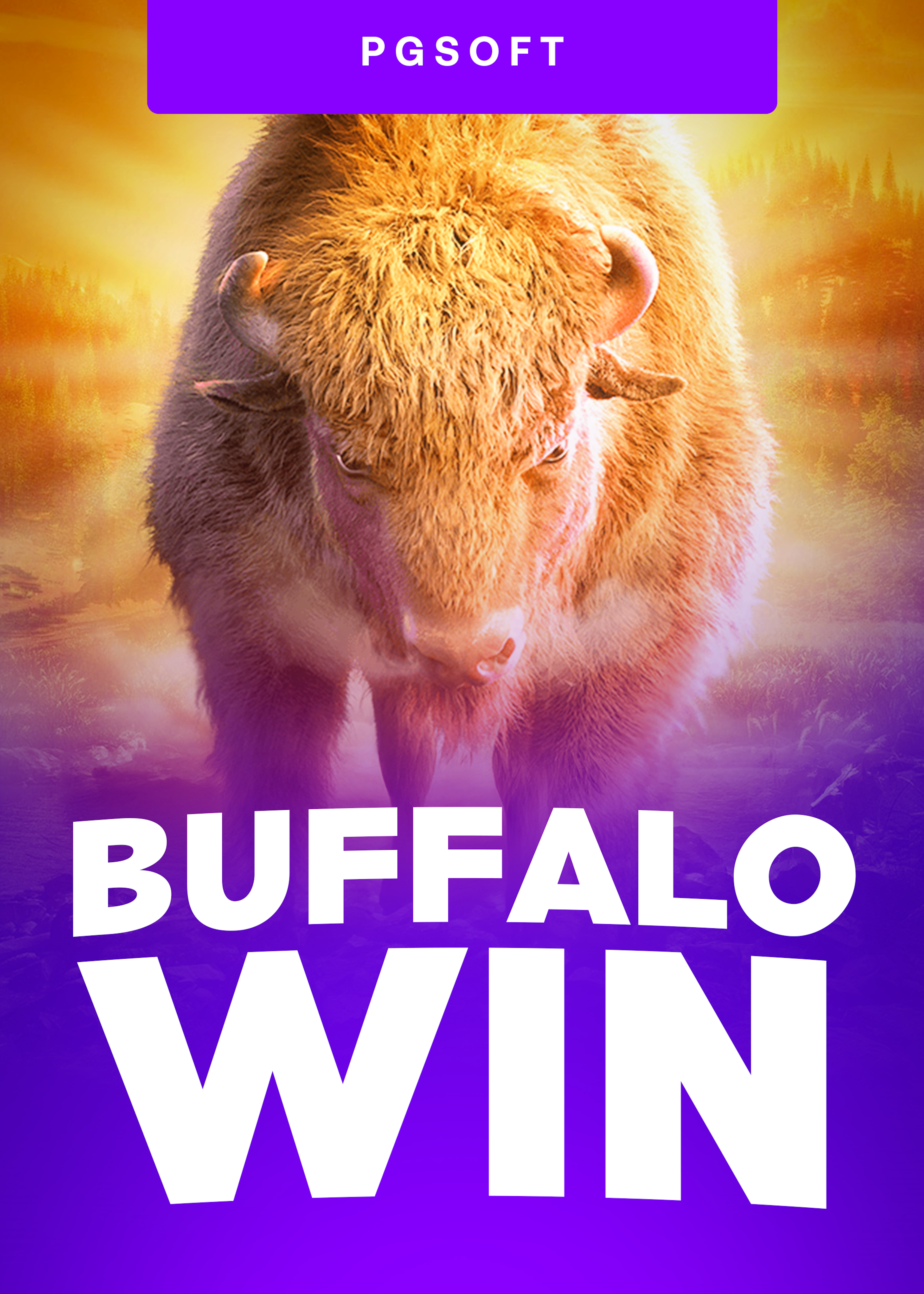 Buffalo Win