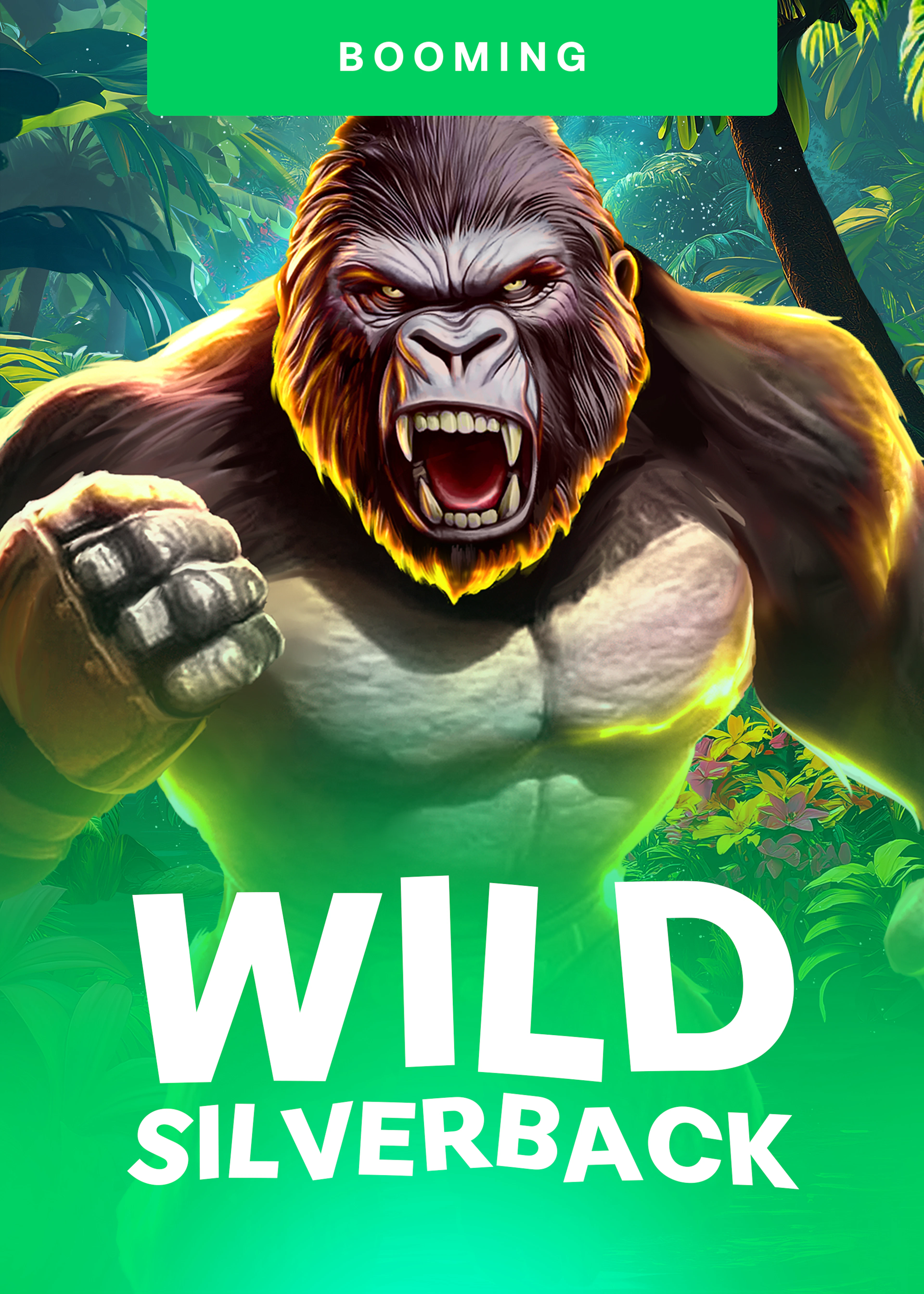 Wild Silverback