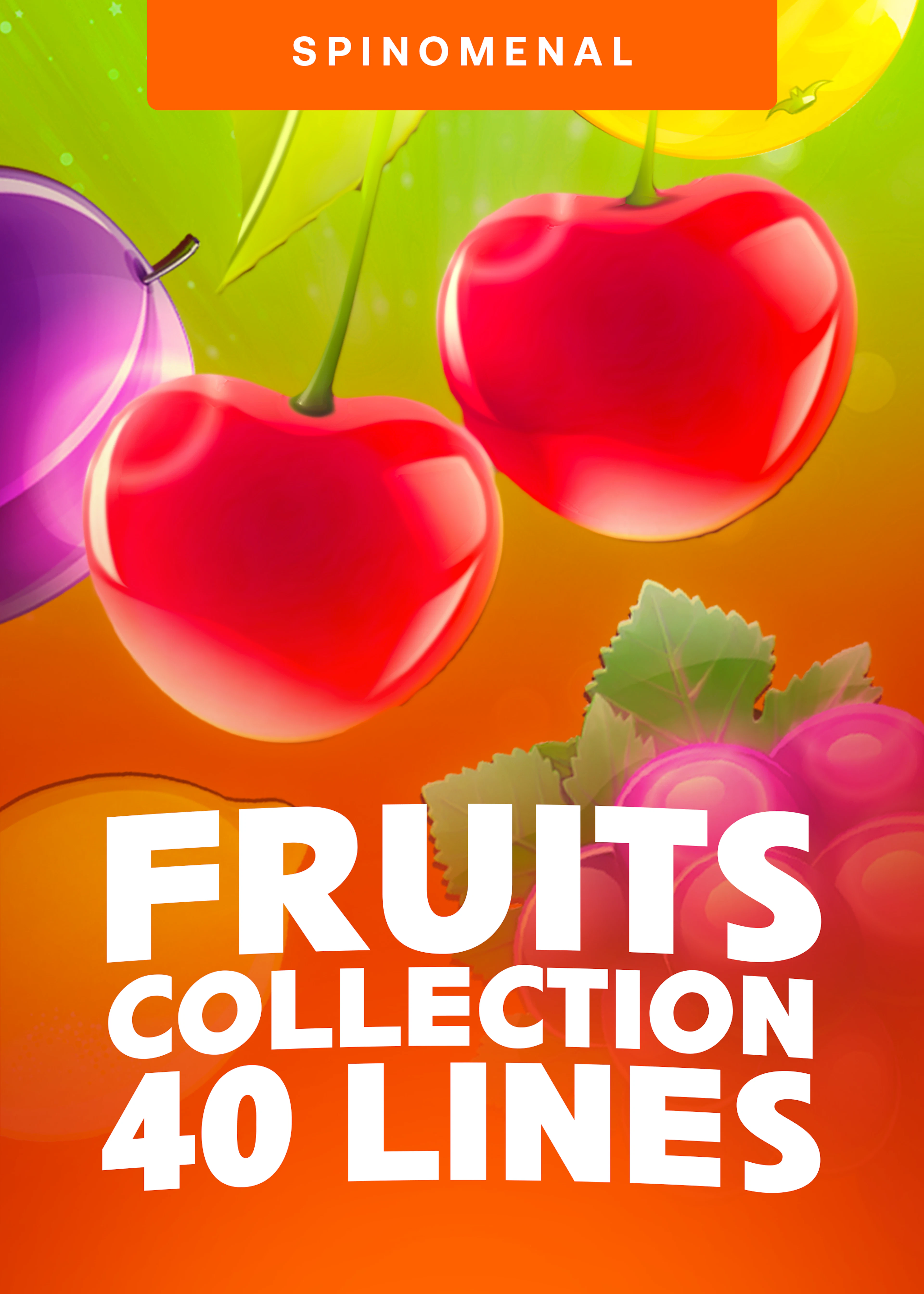 Fruits Collection 40 Lines