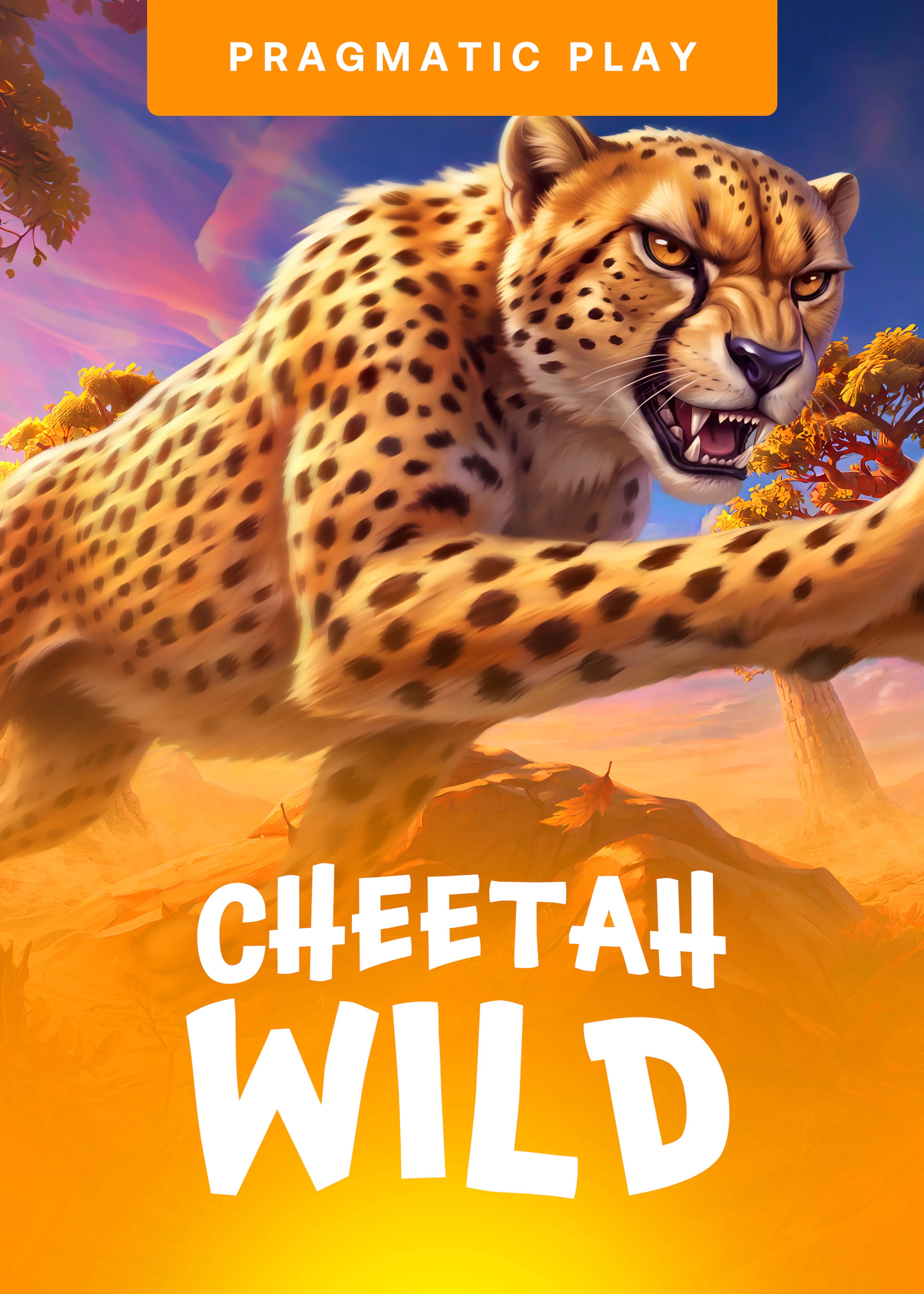 Cheetah Wild
