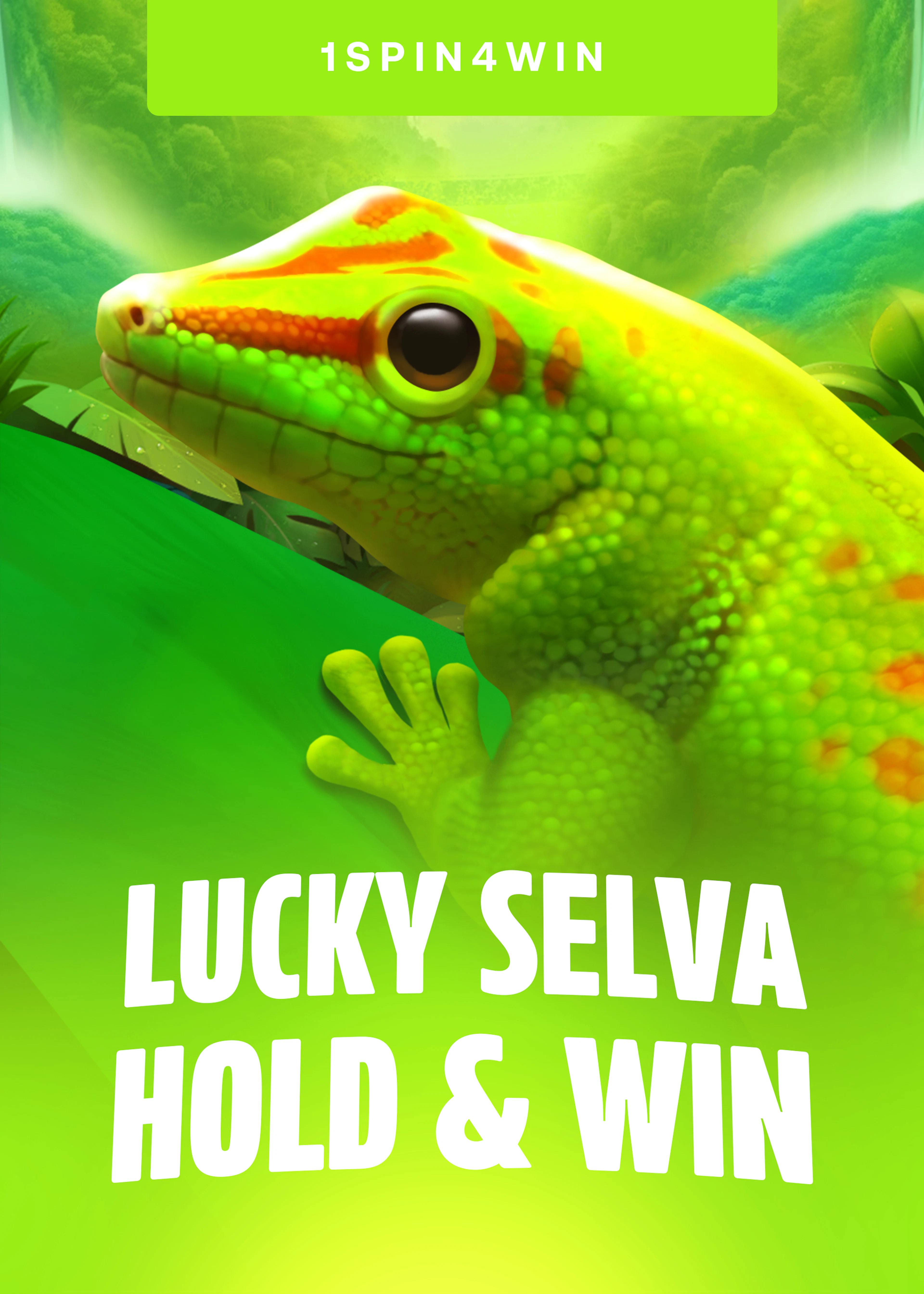 Lucky Selva Hold And Win