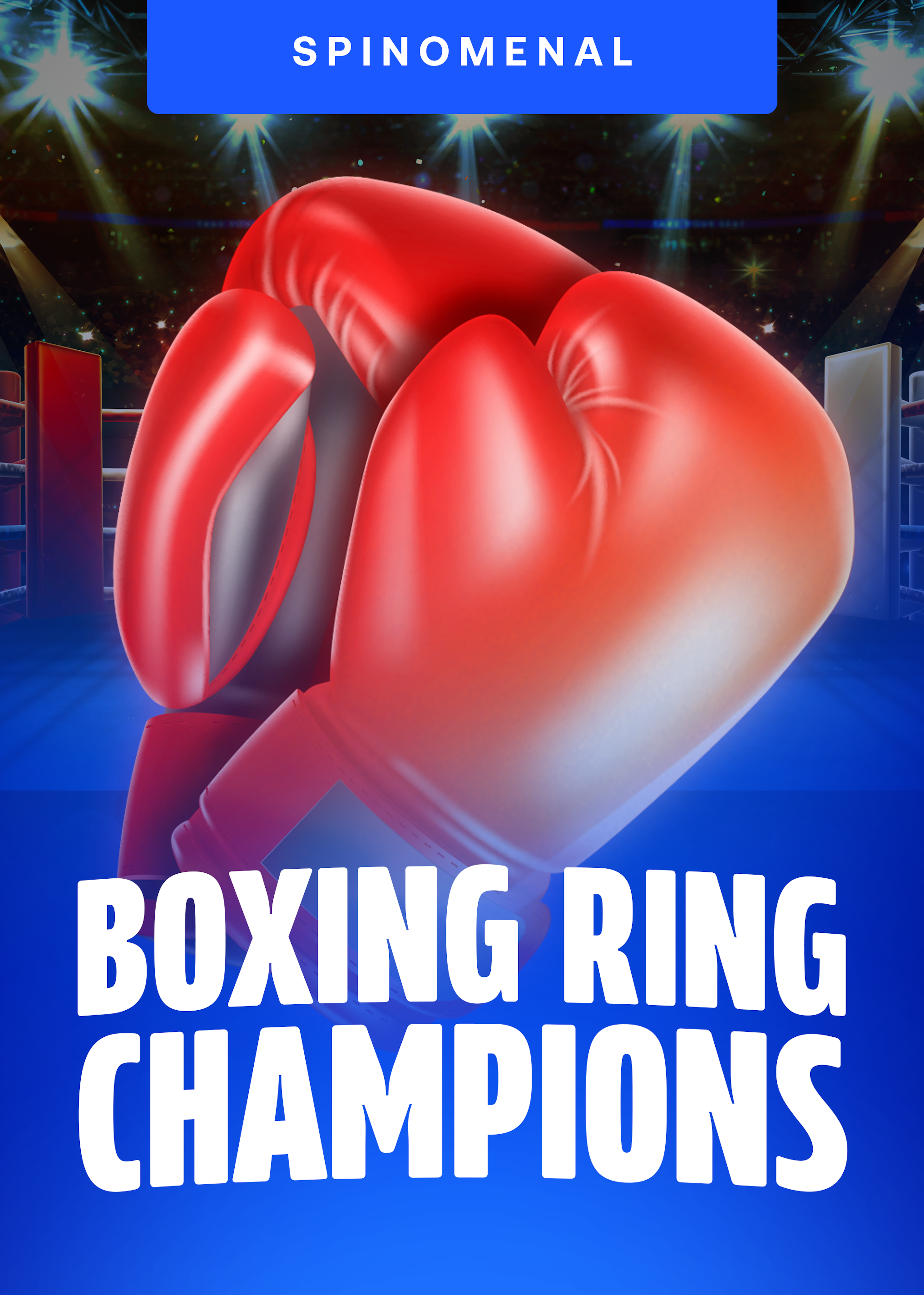 Boxing Ring Champions