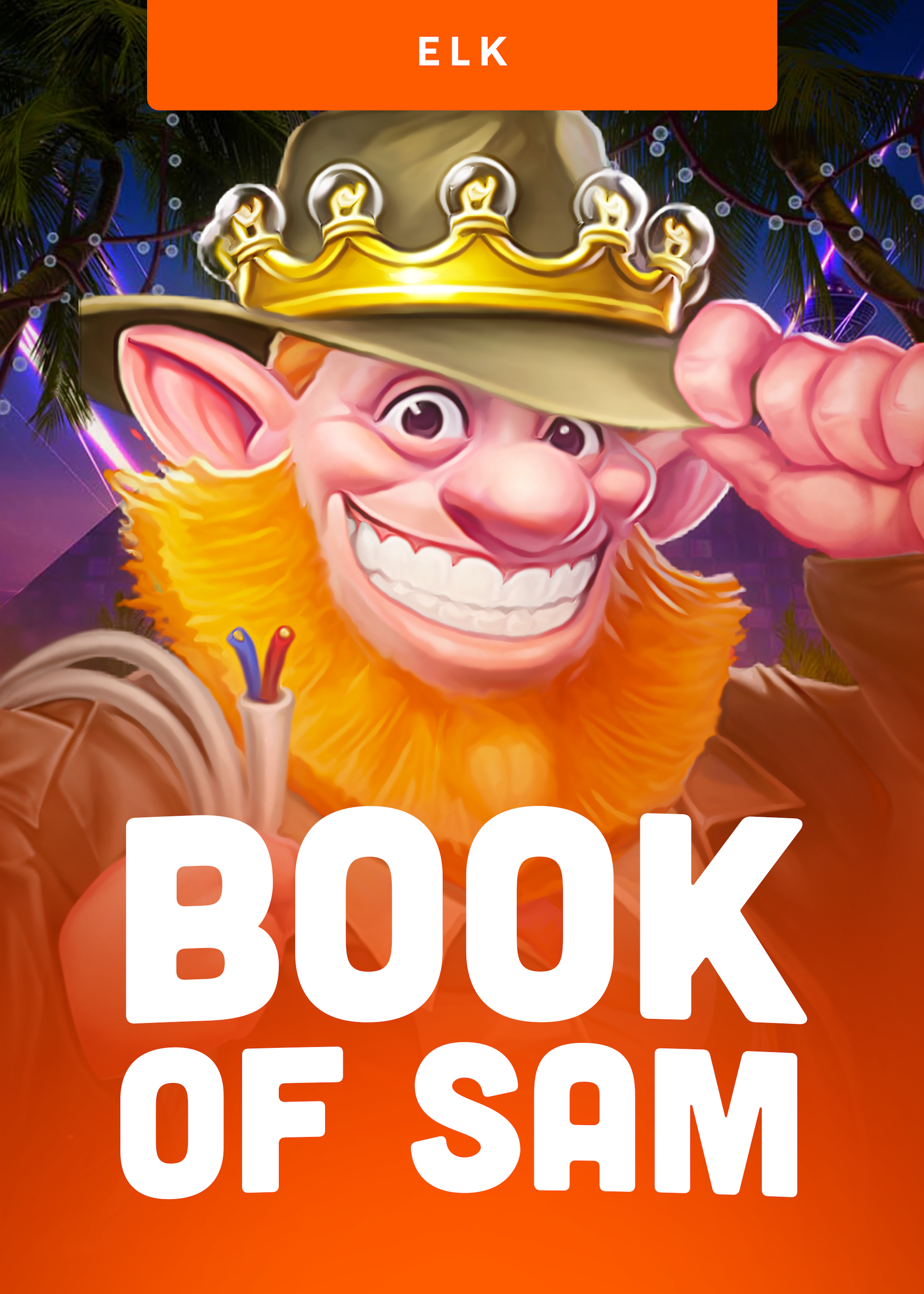Book of Sam