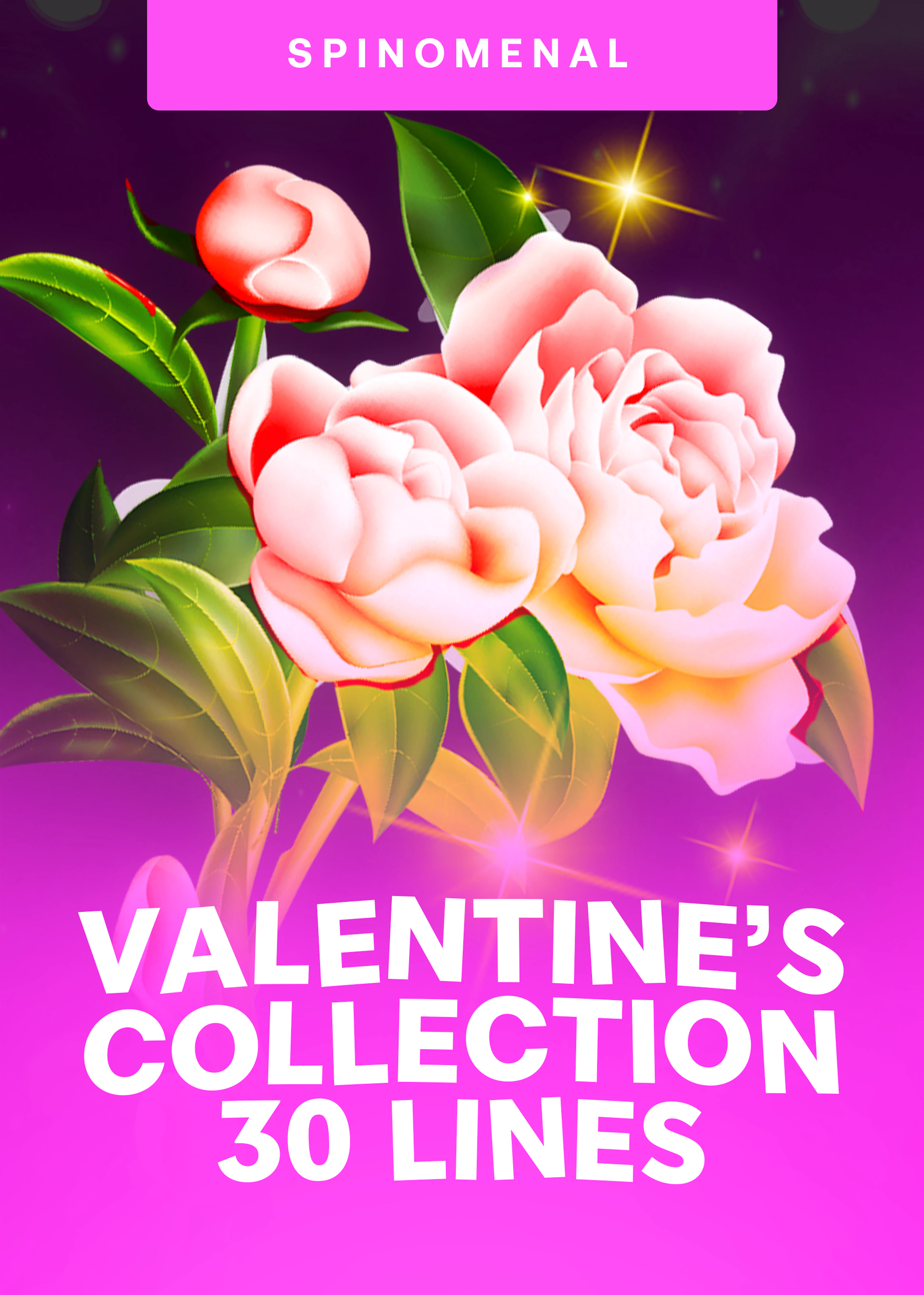 Valentine Collection 30 Lines