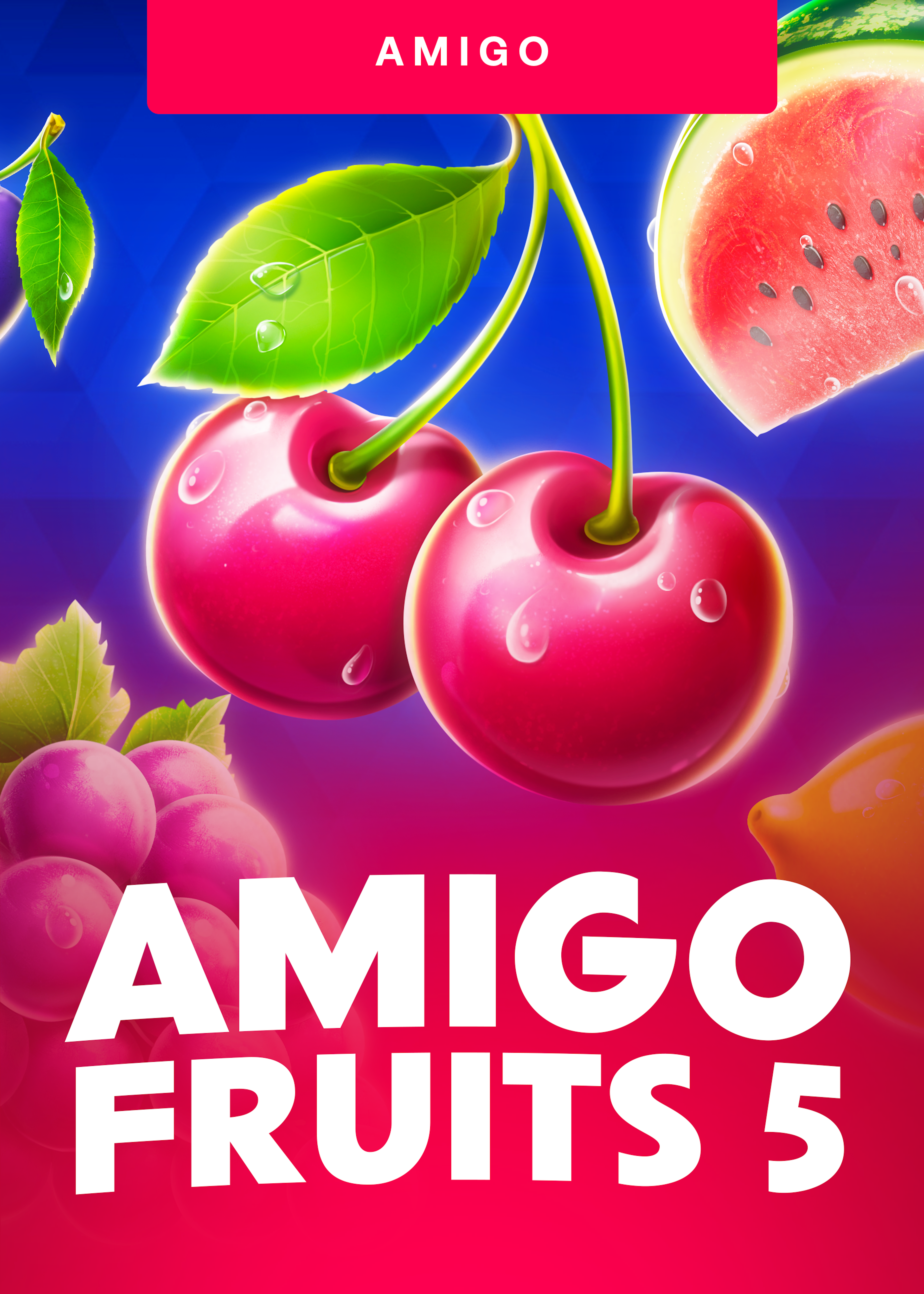 Amigo Fruits 5