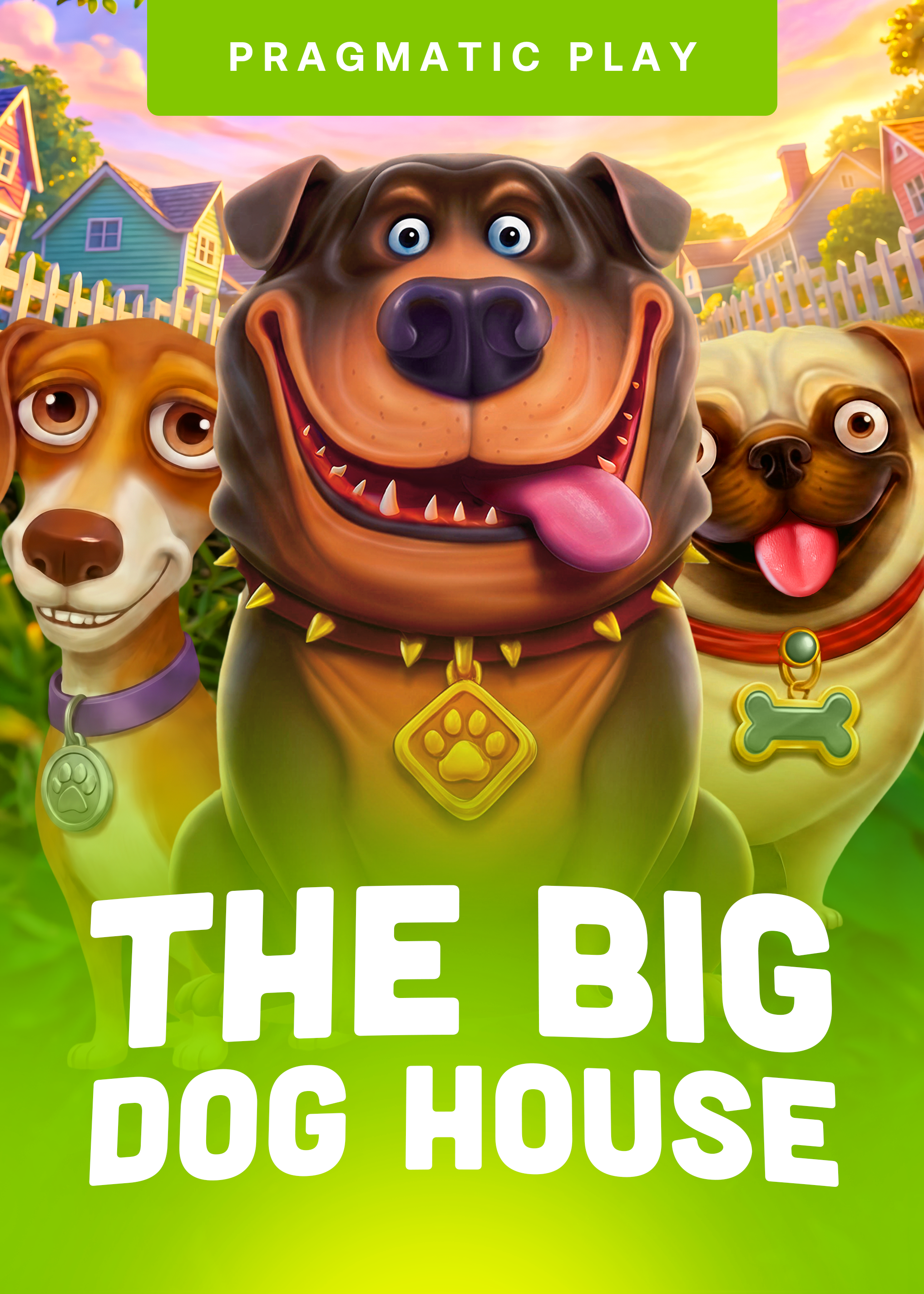 The Big Dog House
