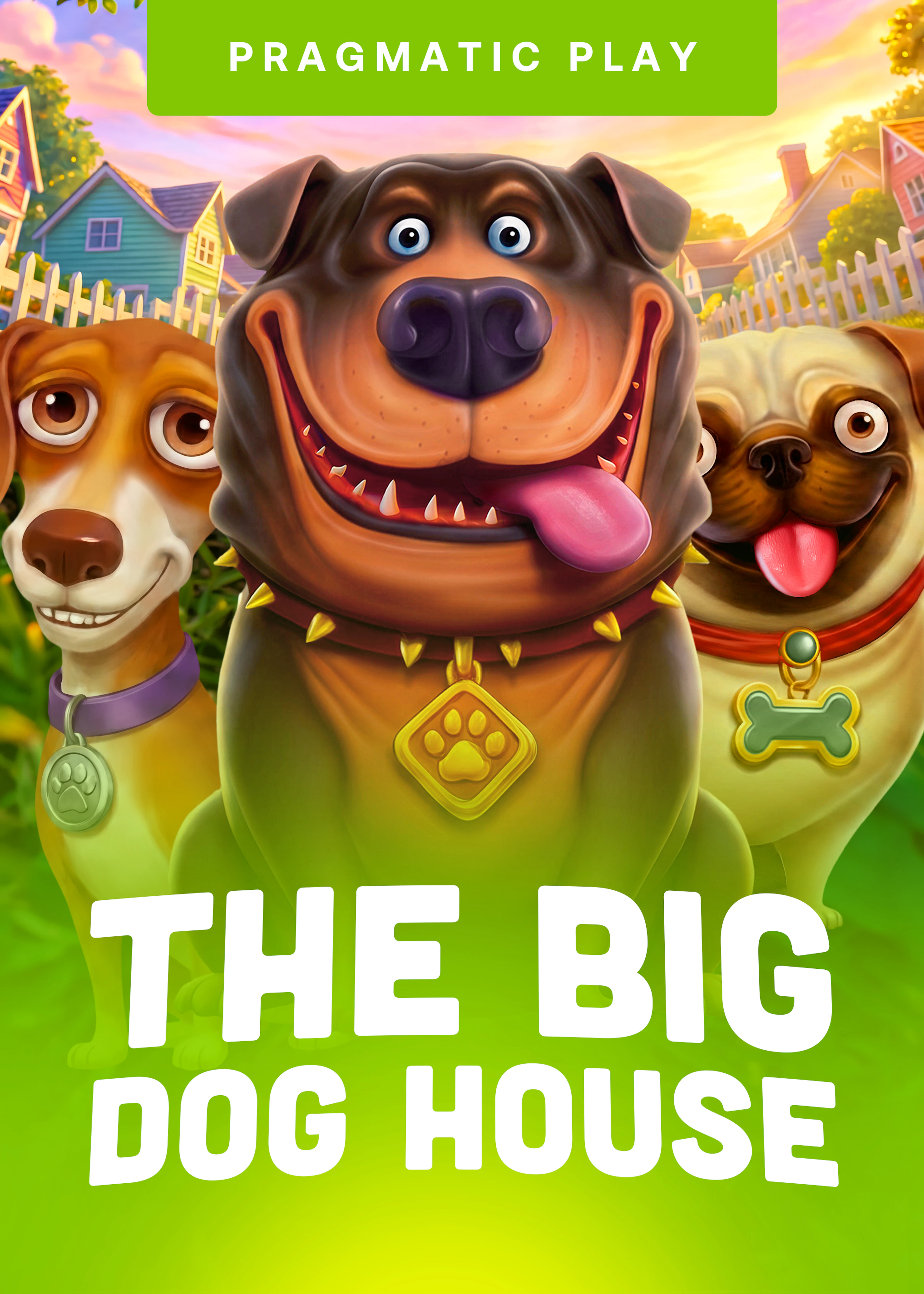 The Big Dog House