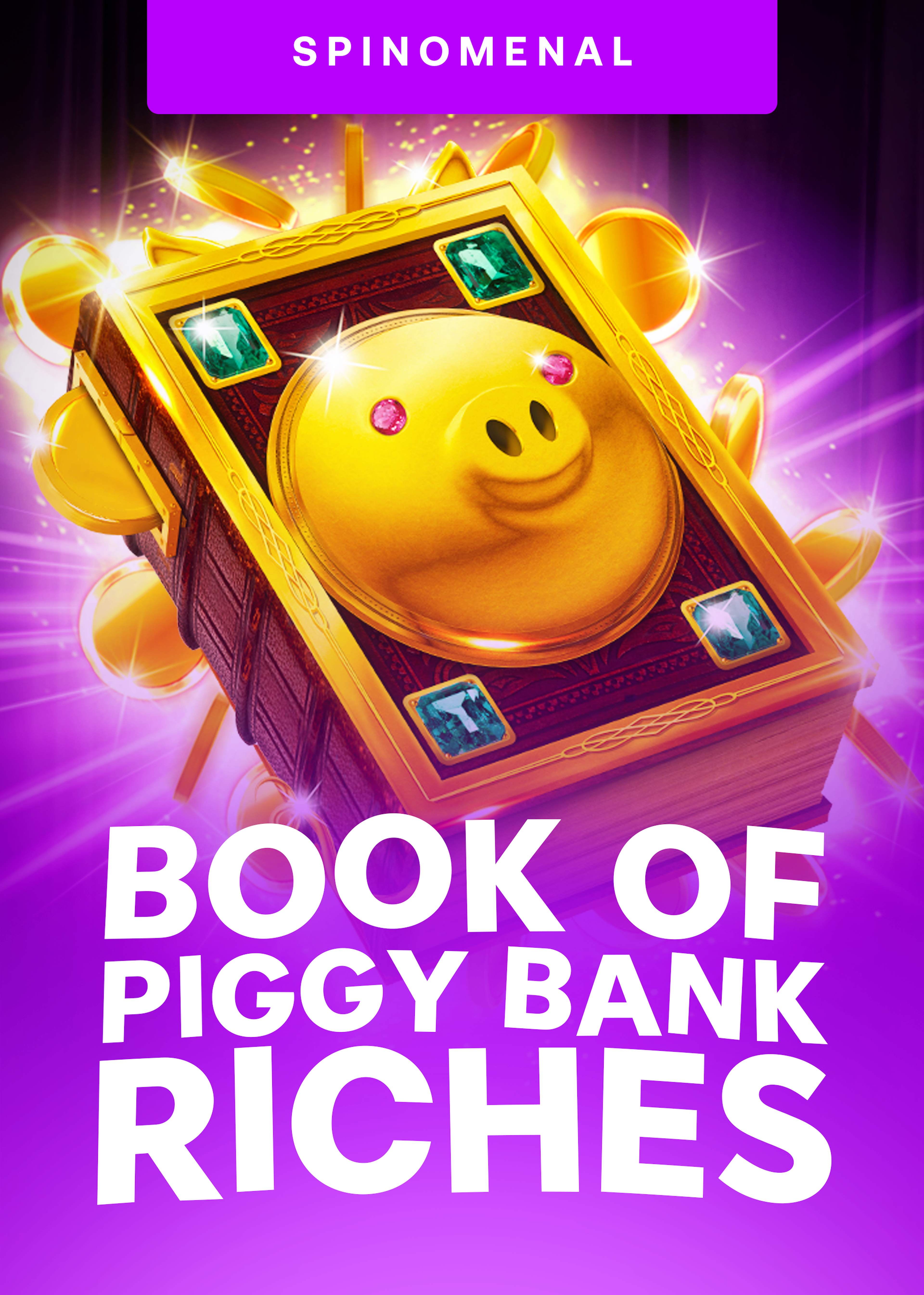 Book Of Piggy Bank - Riches