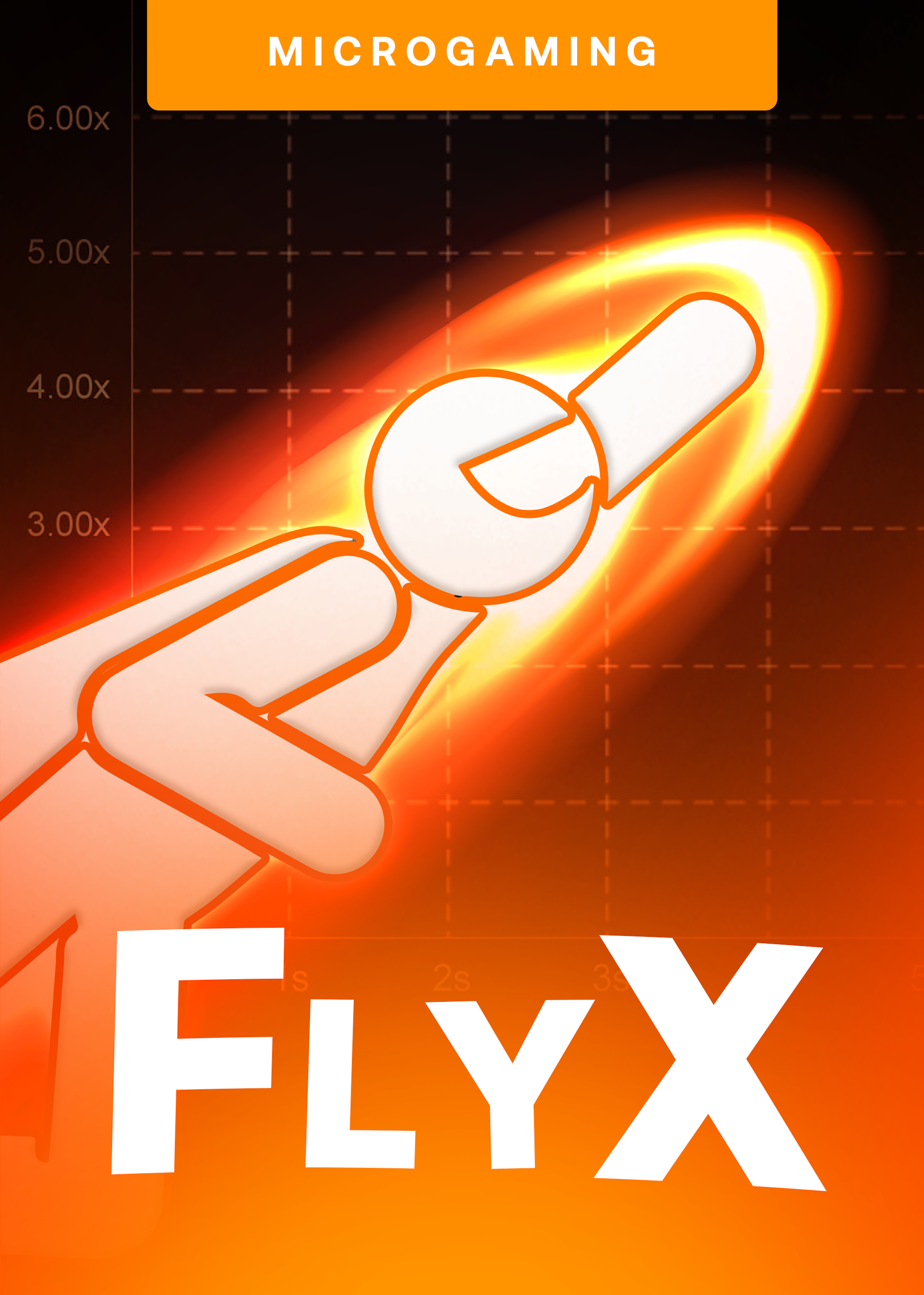 FlyX