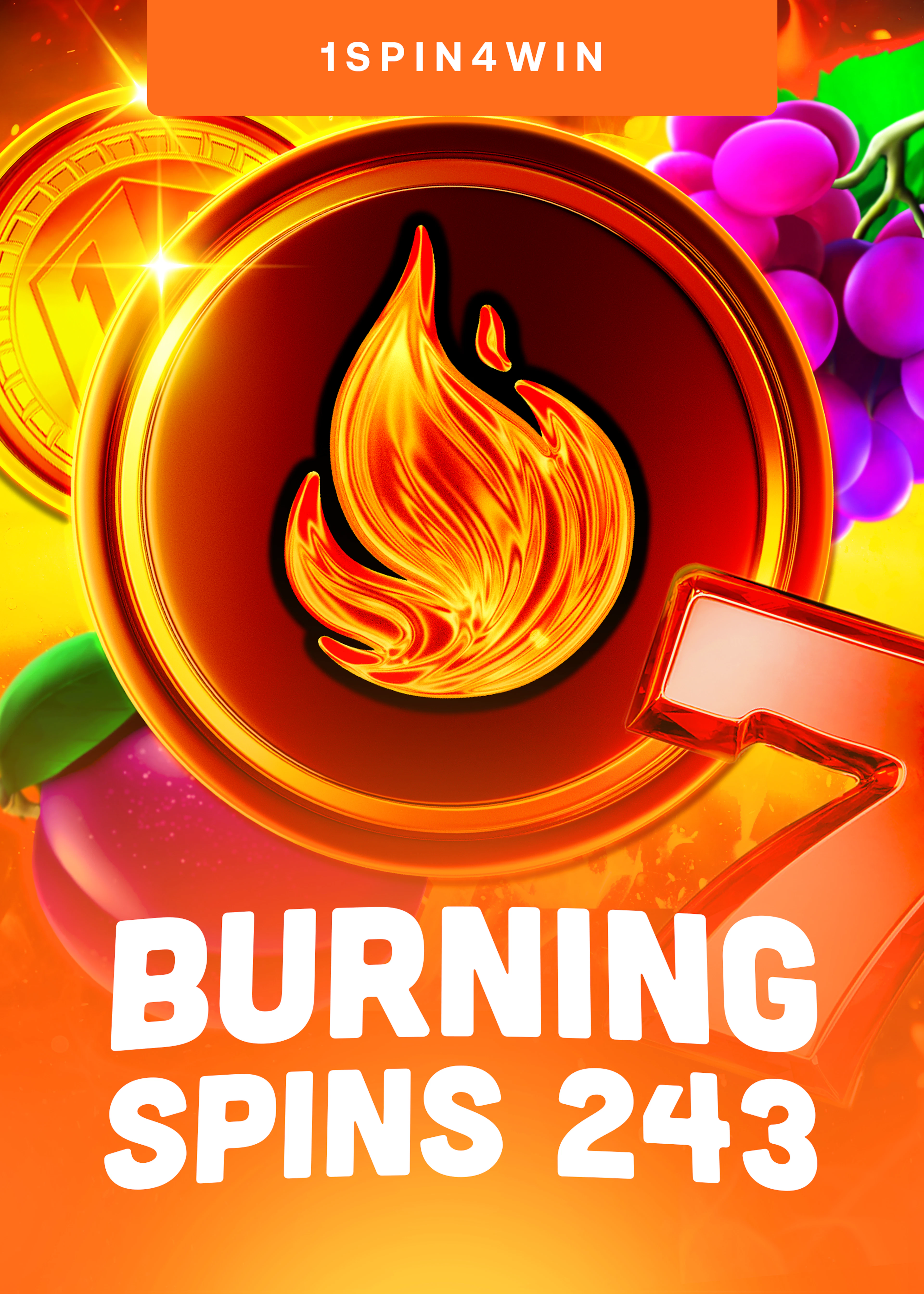 Burning Spins 243