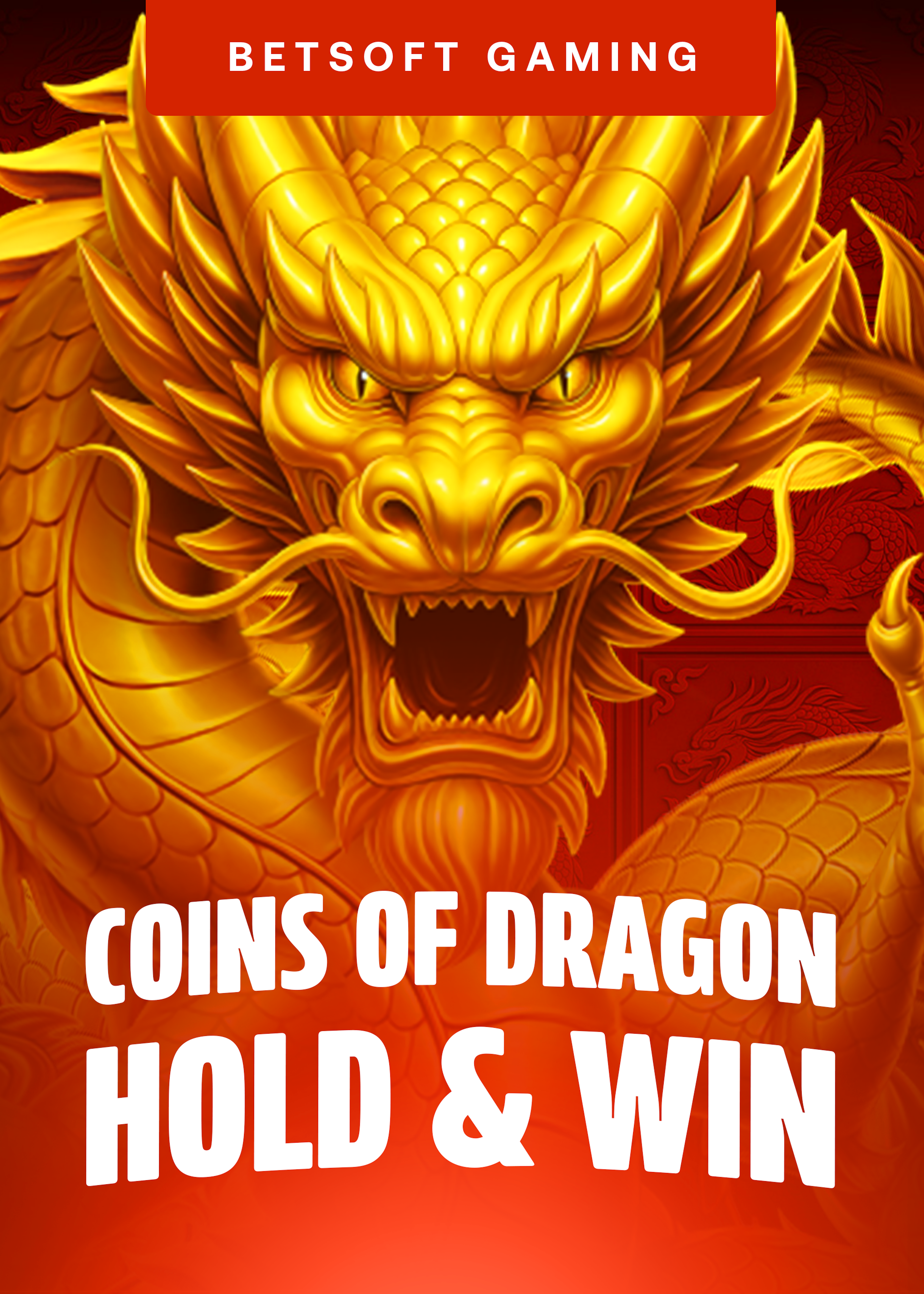 Coins of Dragon - Hold & Win