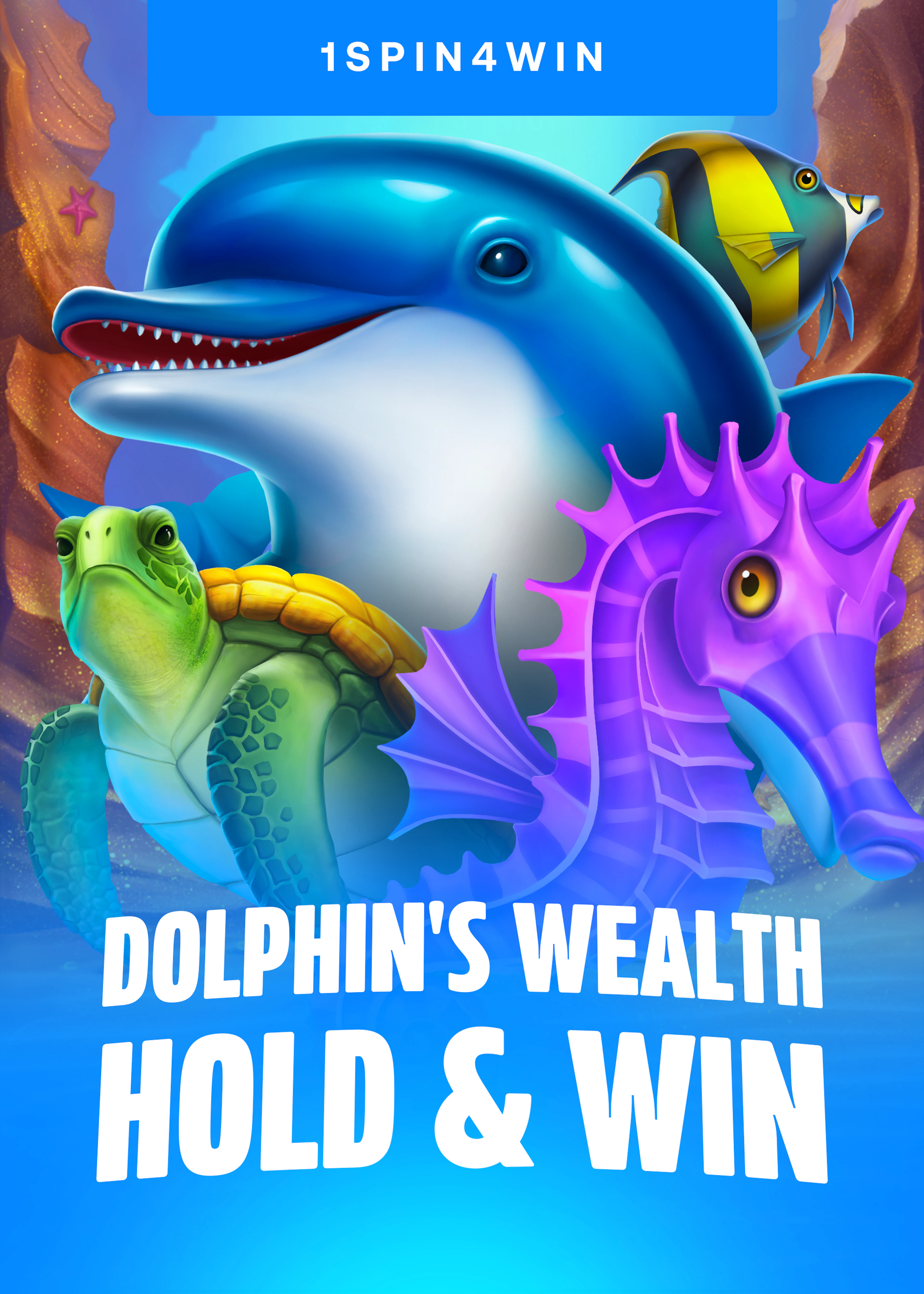Dolphin's Wealth Hold And Win