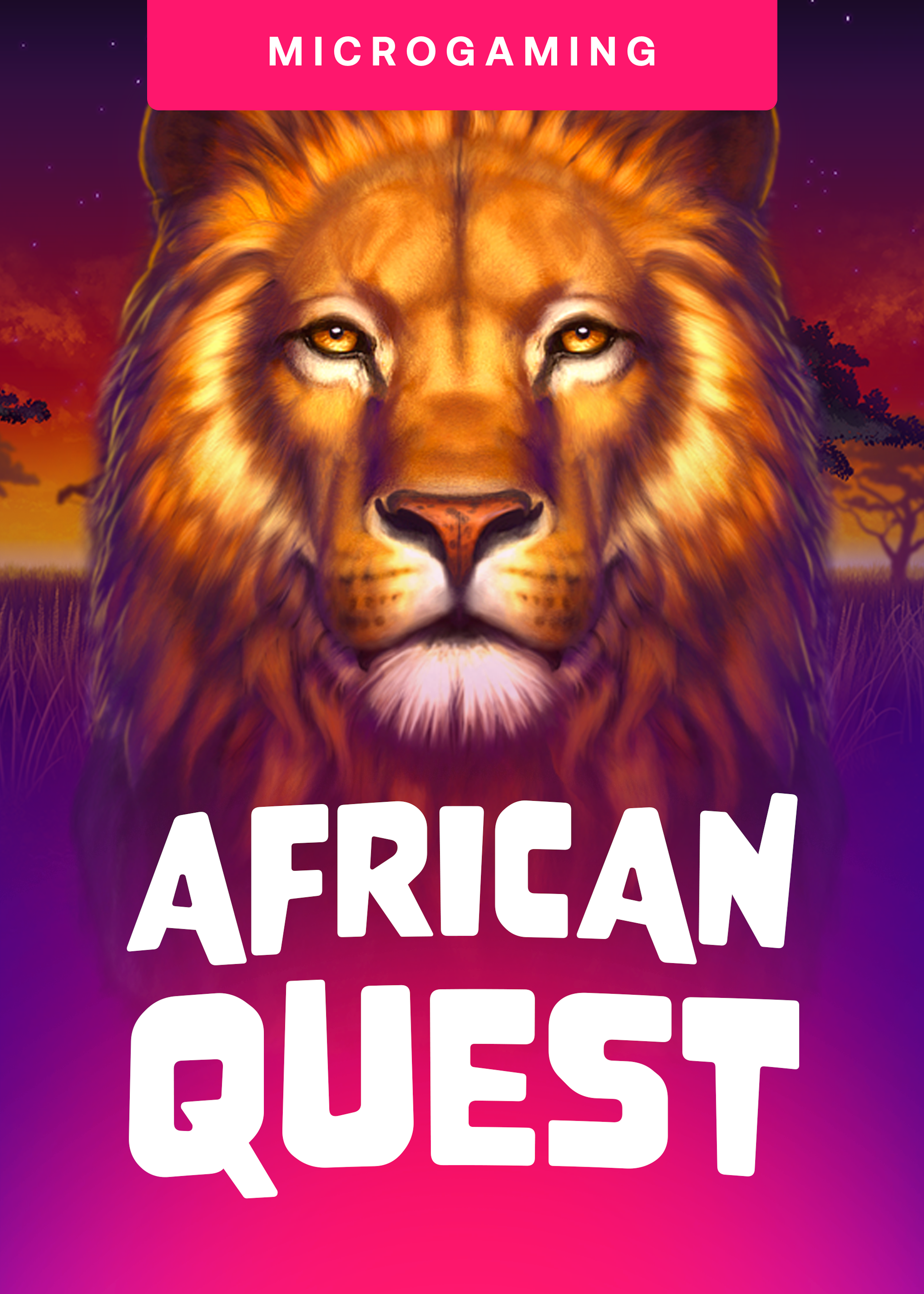 African Quest