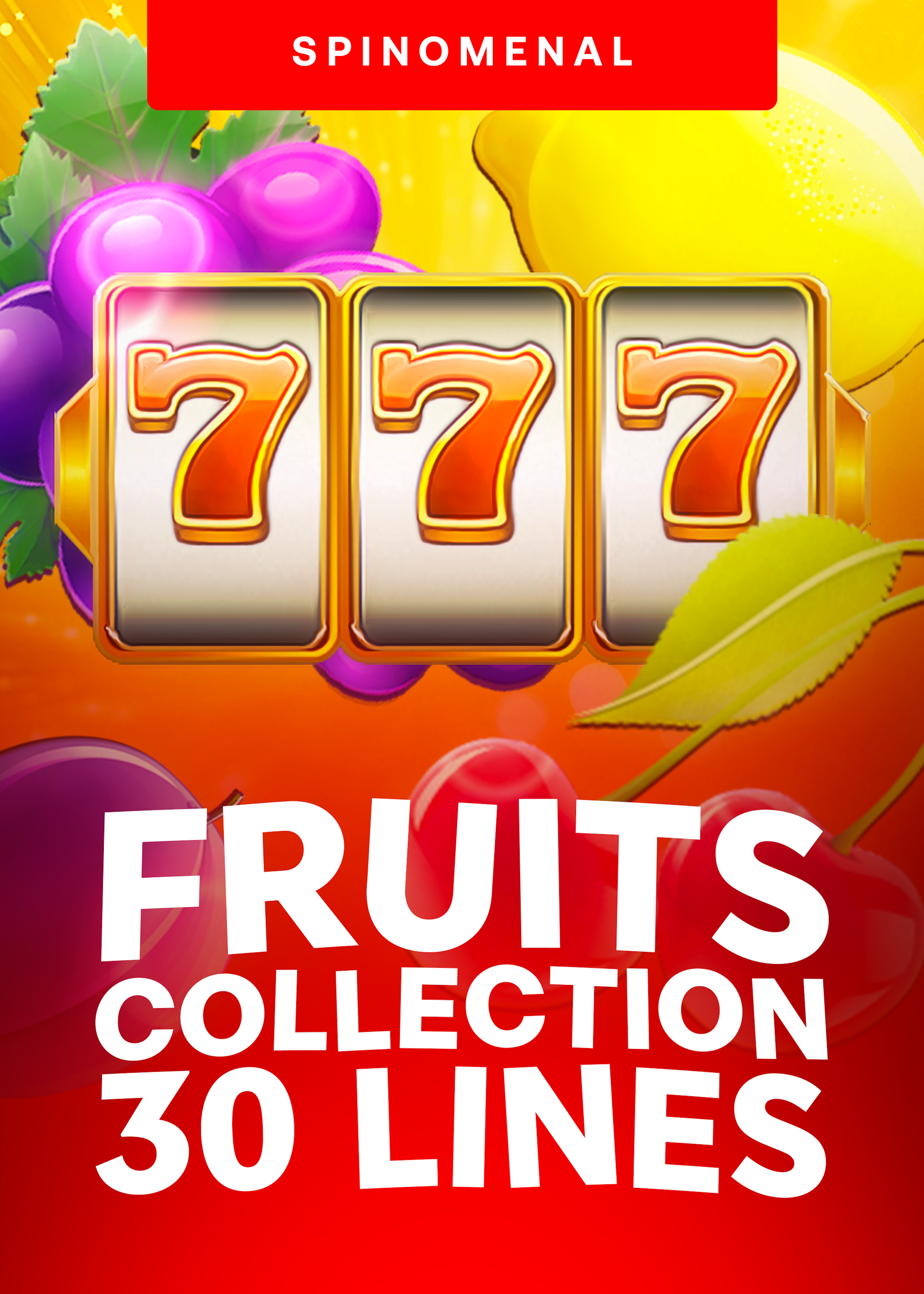 Fruits Collection 30 Lines