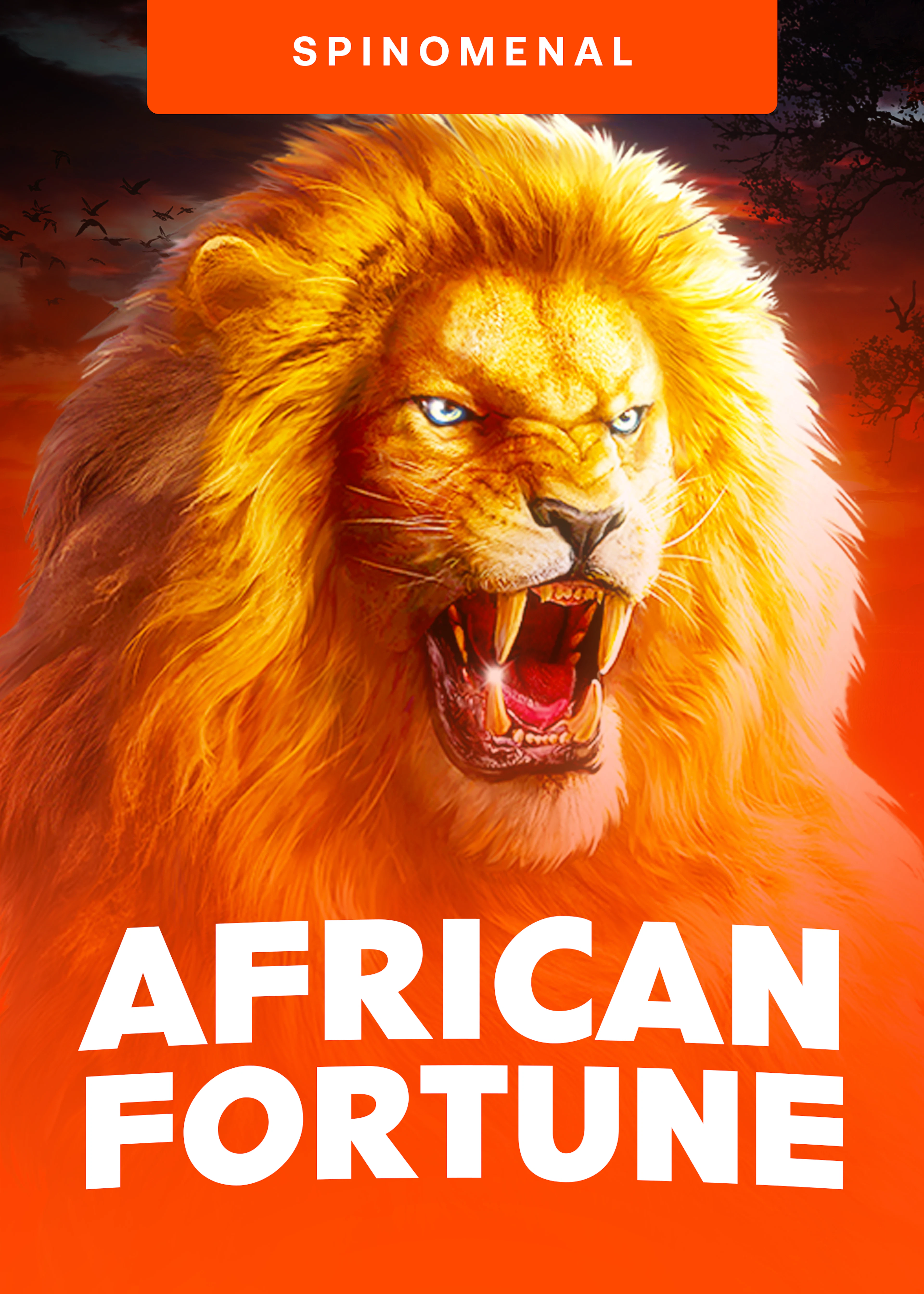 African Fortune