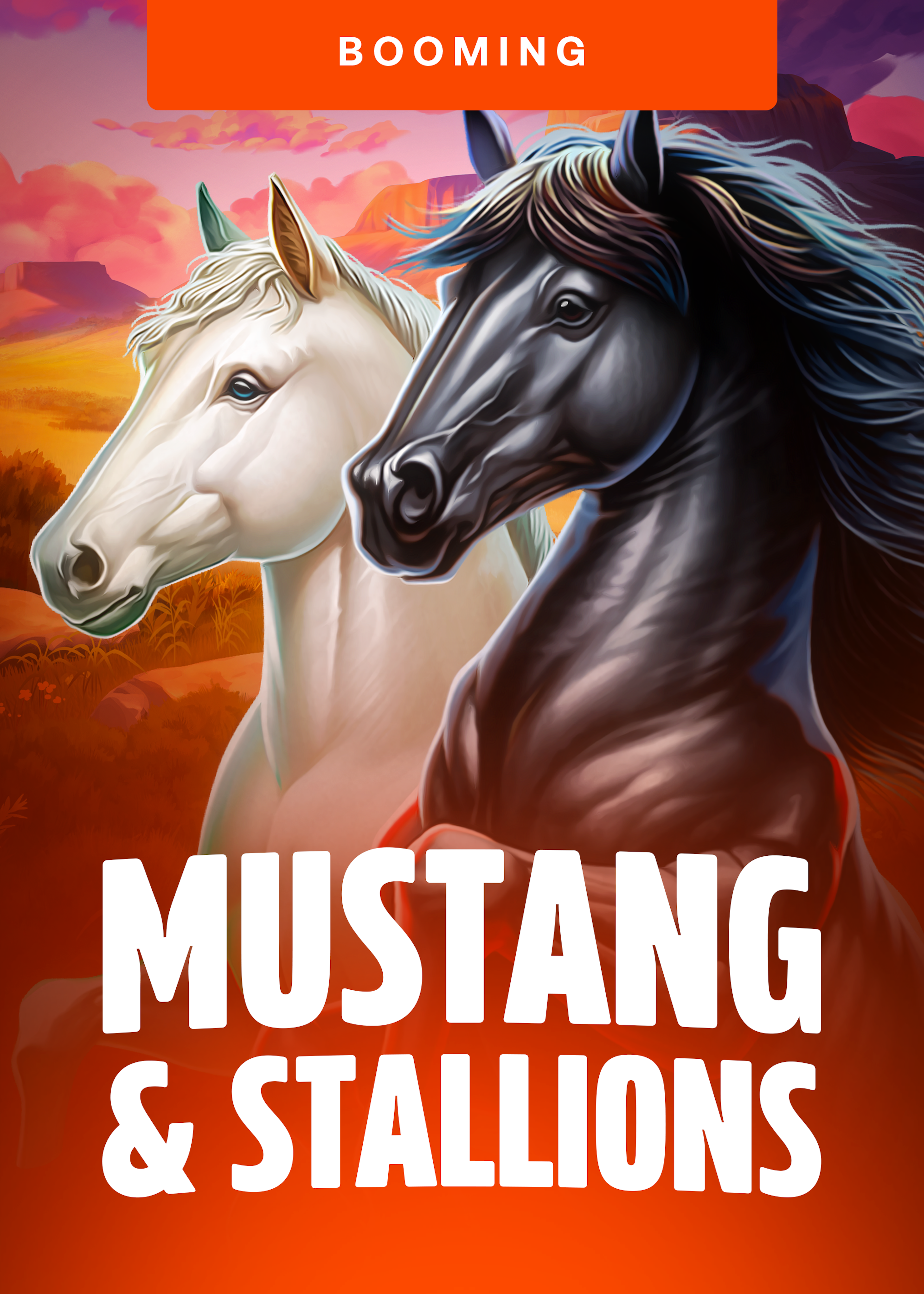 Mustangs and Stallions