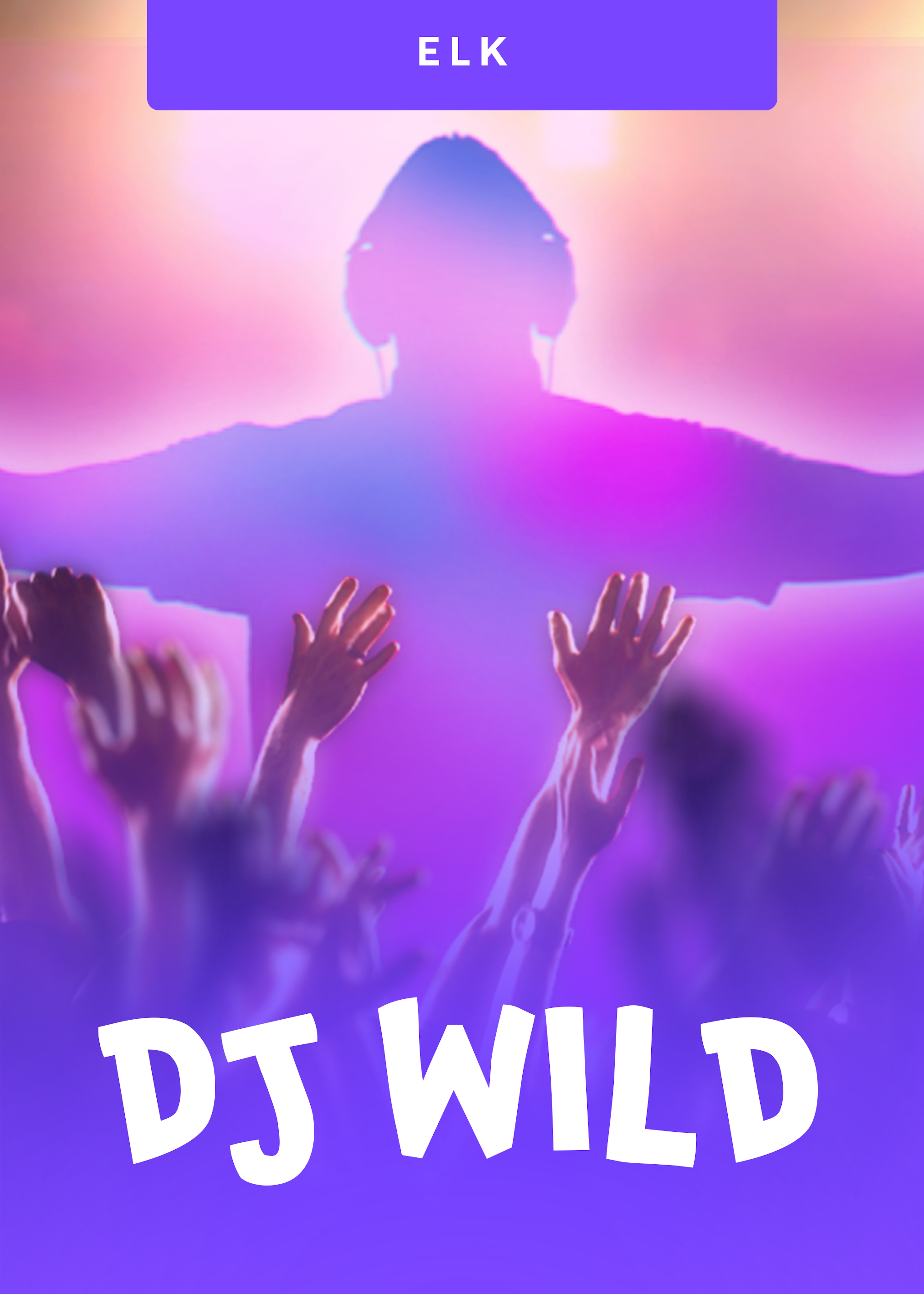 DJ Wild